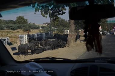 03 PKW-Reise_Fatehpur_Sikri-Agra_DSC5502_b_H600